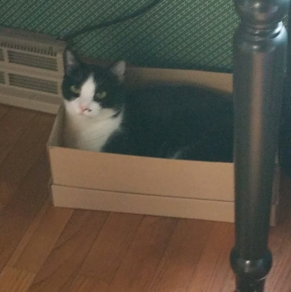 Meet your Posher, Linda